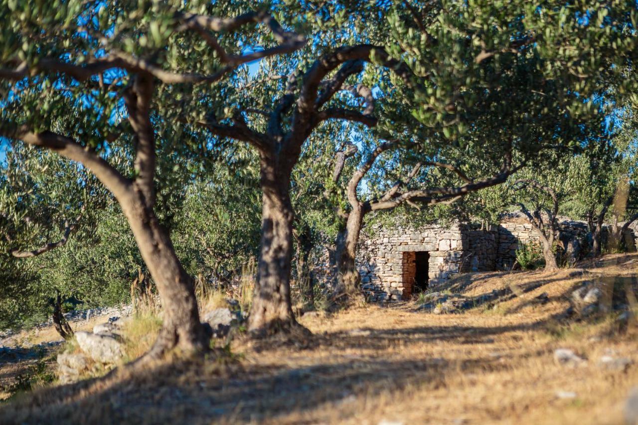 Villa Fani Supetar Dış mekan fotoğraf